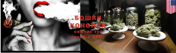 соль ск Вяземский