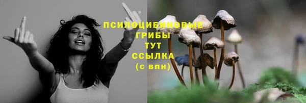 круглые Вязники