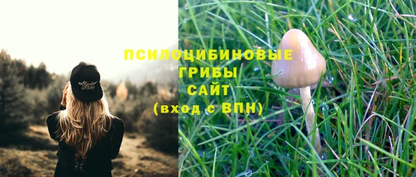 соль ск Вяземский
