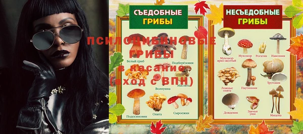 соль ск Вяземский