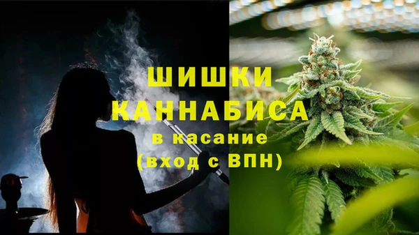 соль ск Вяземский