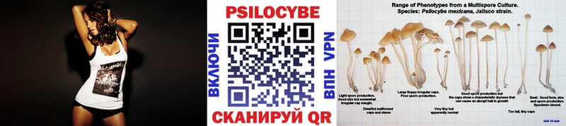 Псилоцибиновые грибы ЛСД это наркотические препараты МЕГА сайт Заволжье где купить наркоту